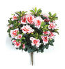 Azaleas