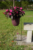 Tall Single Ground Mount with a 10" Ring