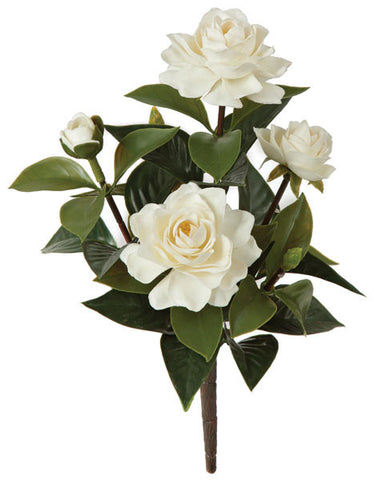 Gardenia